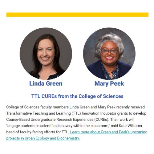 Image shows a screenshot from the July 8, 2024, newsletter featuring Linda Green and Mary Peek.
