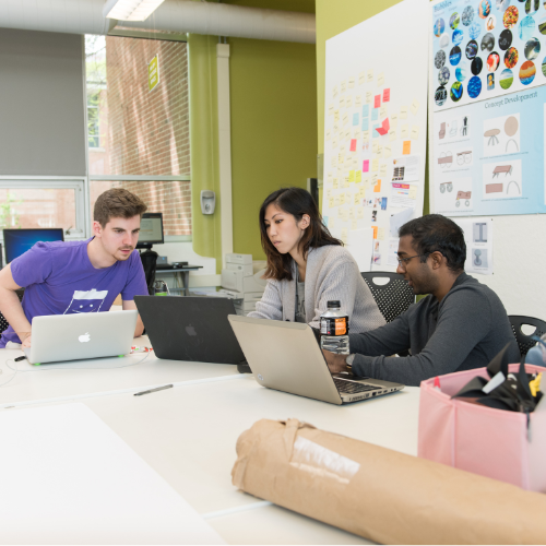 Three people gather around laptops.