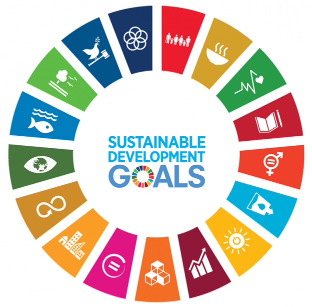 United Nations Sustainable Development Goals